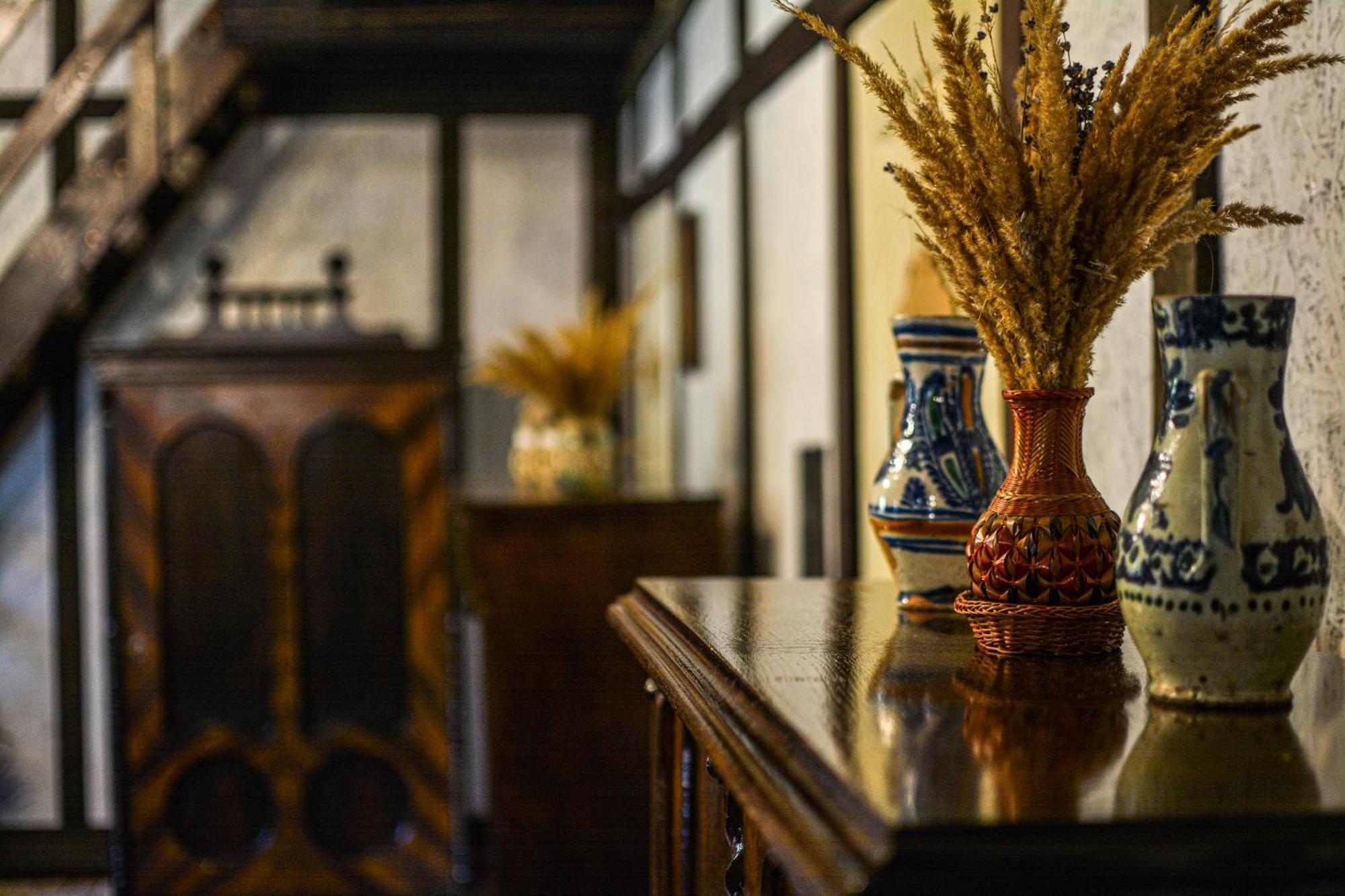 Camere De Inchiriat Pasi Liberi Tau Bistra Ngoại thất bức ảnh